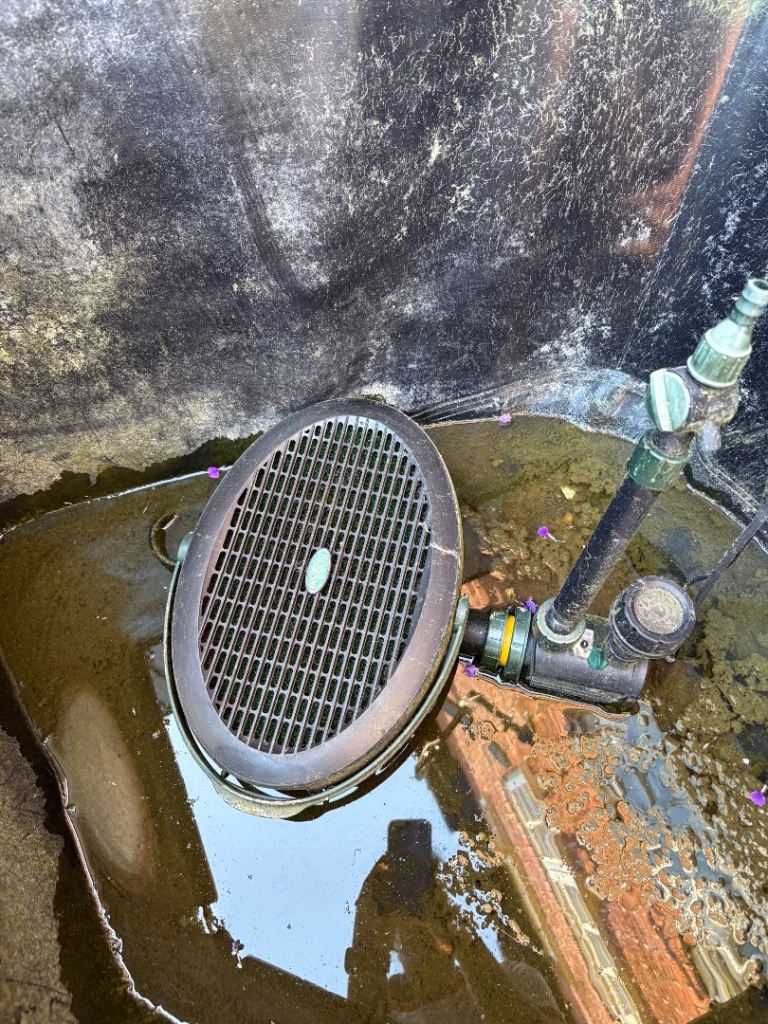 pond pump (Inpond 5-in-1 3000 UVC included)