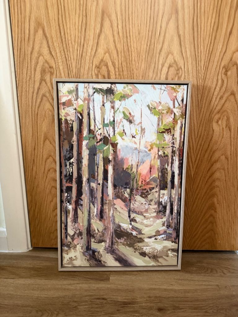 Next Framed canvas – As Good As New