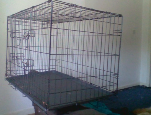 Large dog cage 