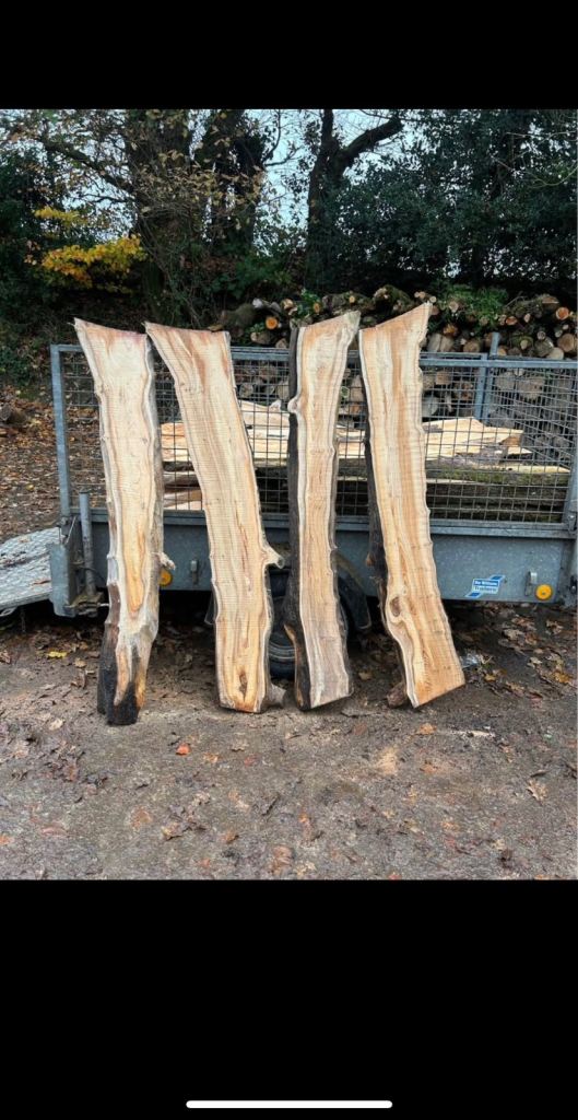 Some large/small yew boards for sale varying prices, aswell as beautifull chunks of monkey puzzle!