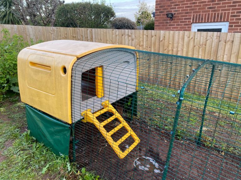 Eglu Cube Mark II chicken coop, 3m run & accessories - all you need apart from the chickens!