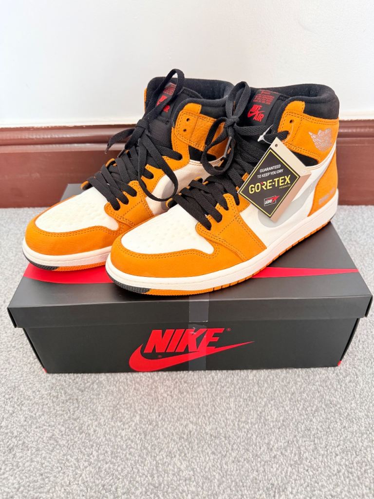 The Air Jordan 1 Element GORE-TEX