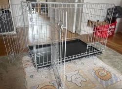 Crate for a Pet 2 doors 61cm x 57cm x91 