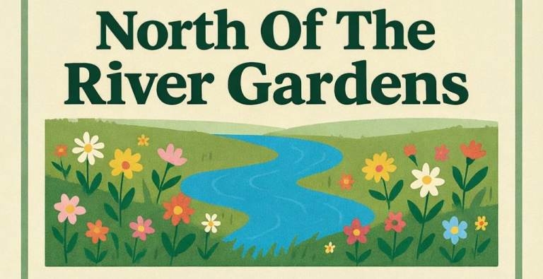 Gardening Maintenance Services - North of the river gardens