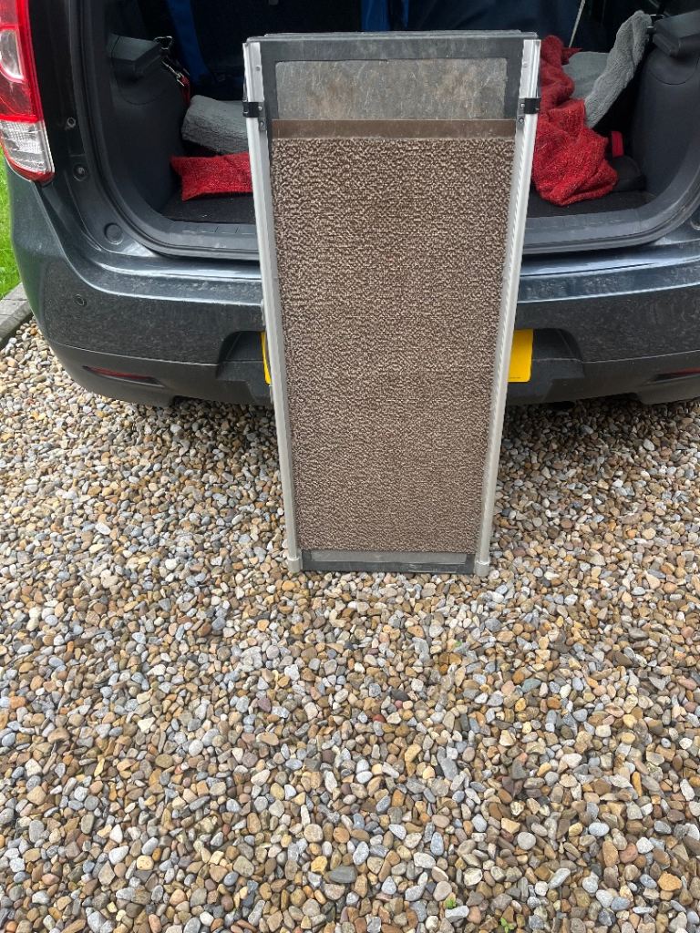 Large extending dog ramp