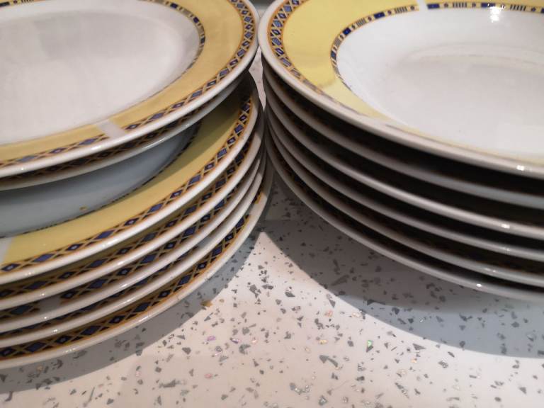 Dinner plates 
