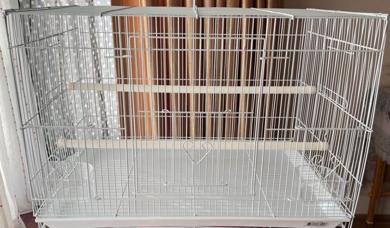 Bird cage NEW