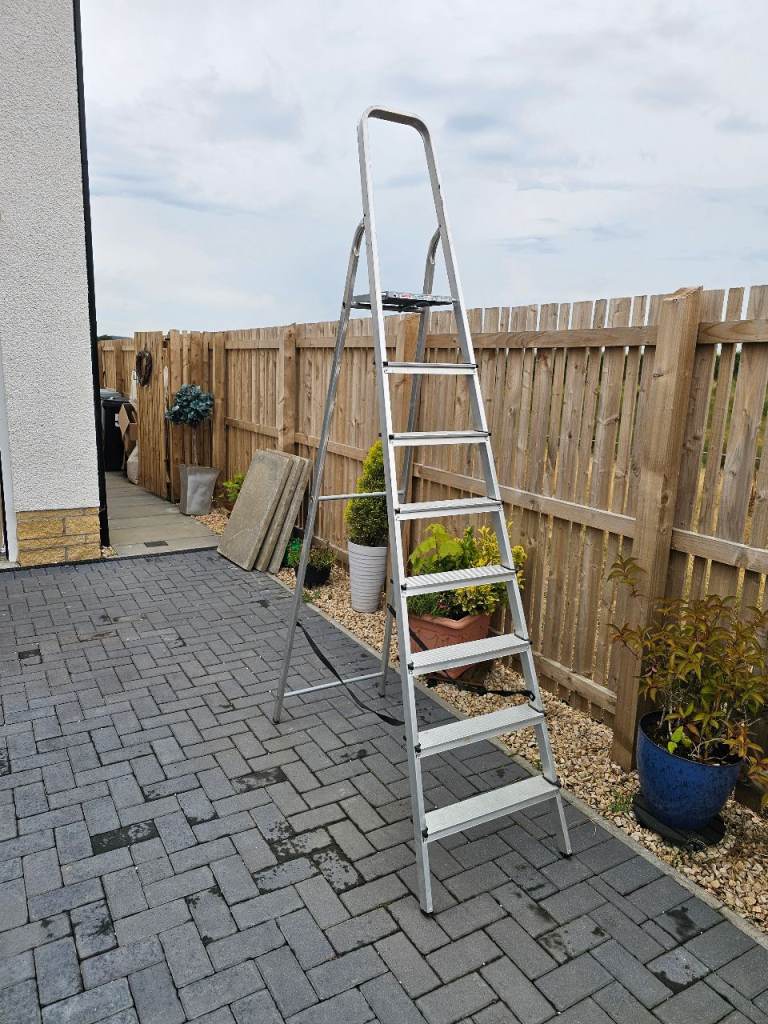 Aluminium 7 rung Ladder.