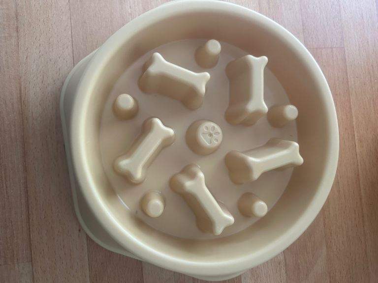 Dog bowl to slow down the feeding