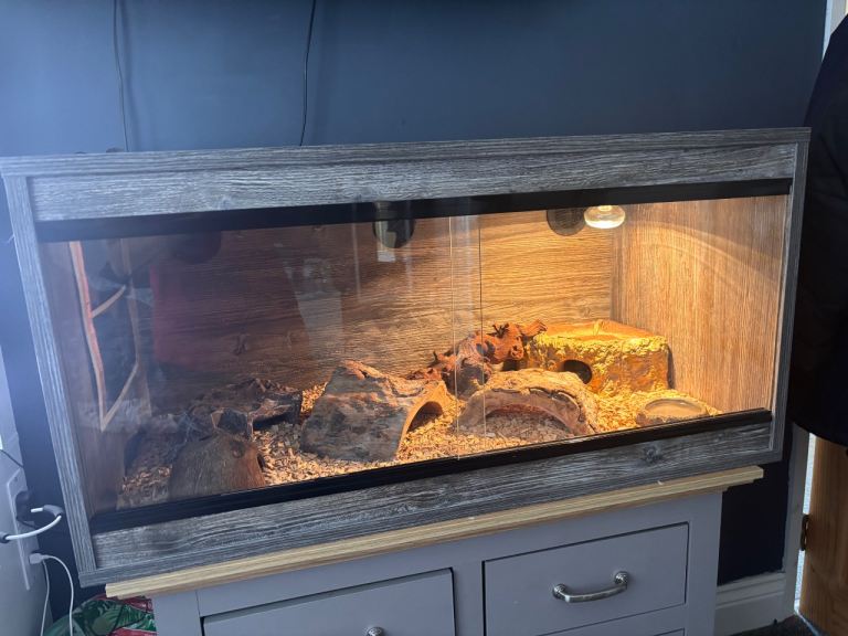 3 foot vivarium 
