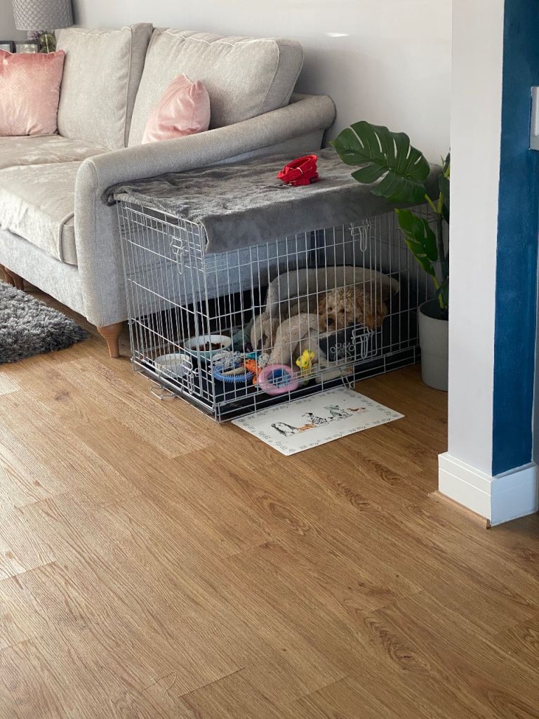 Medium Dog crate 