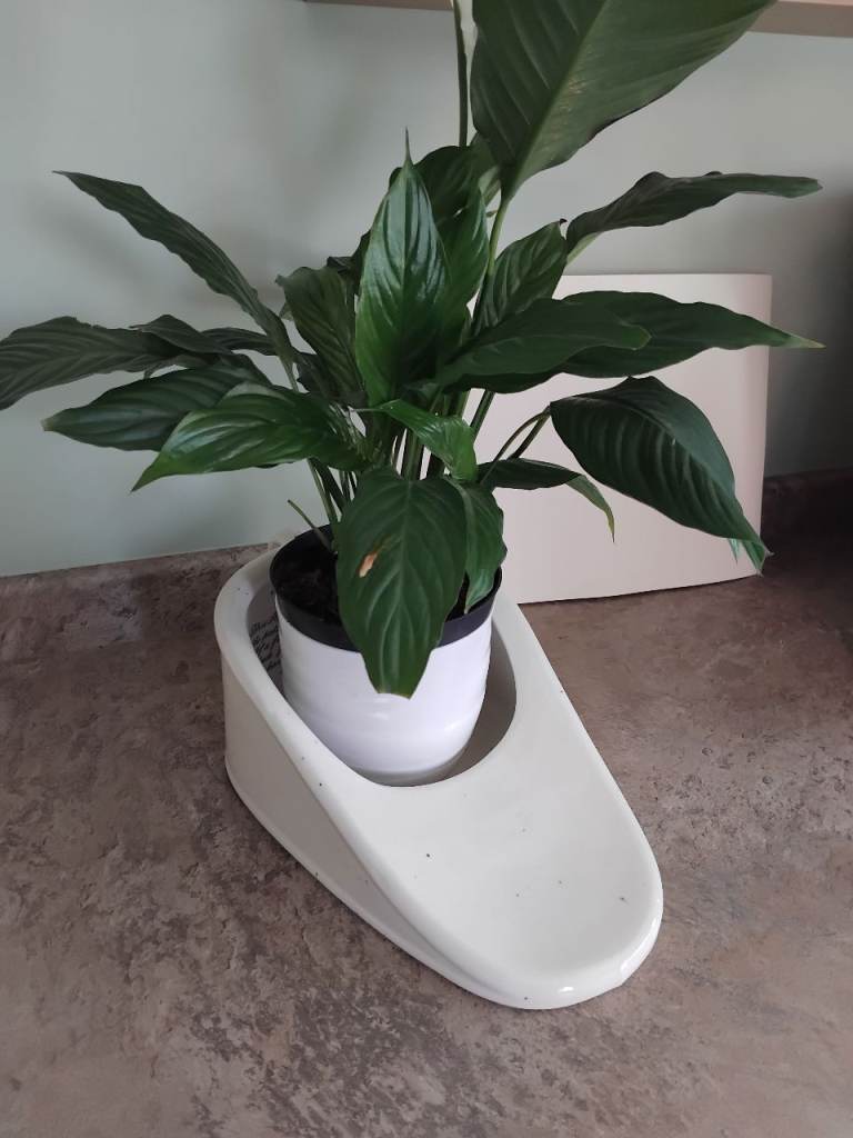 Planter......with a difference 