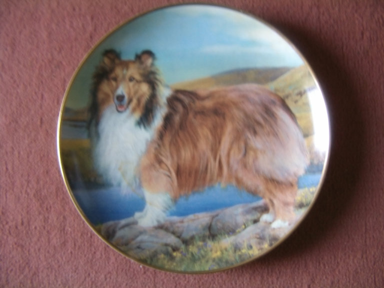 Porcelain Plate with Shetland Sheepdog - Side View