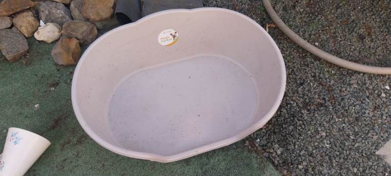 Plastic dog bed