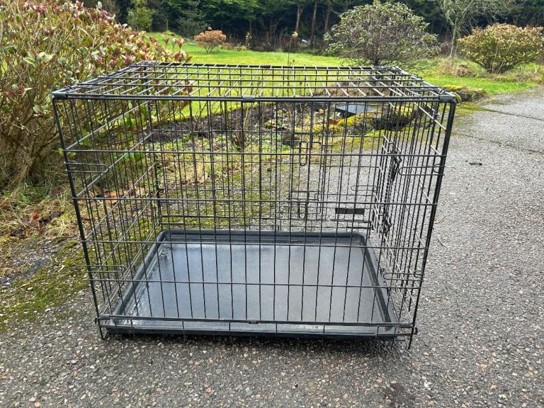 Dog crate for sale 