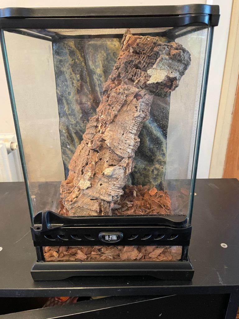 Vivarium Exo terra terrarium
