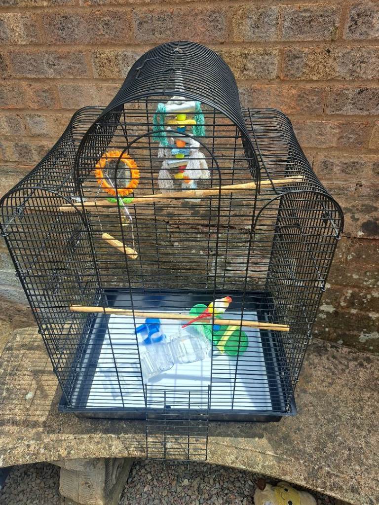Birdcage