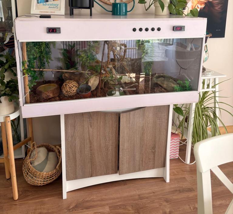Vivarium for Ball Python