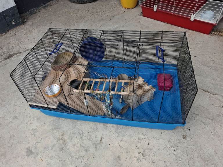 Barney cage