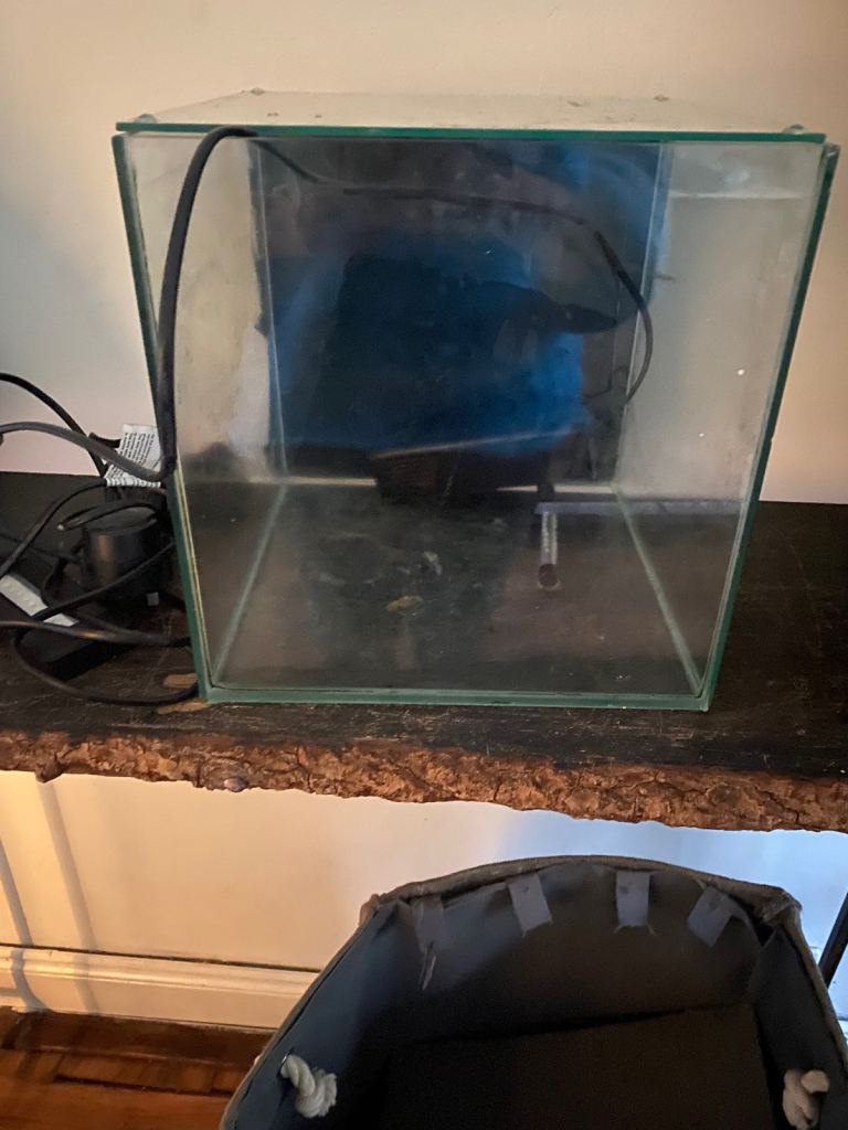 Small fish tank 