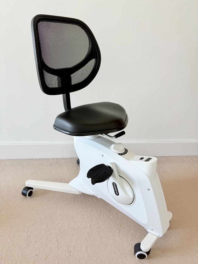 Flexispot indoor bike chair
