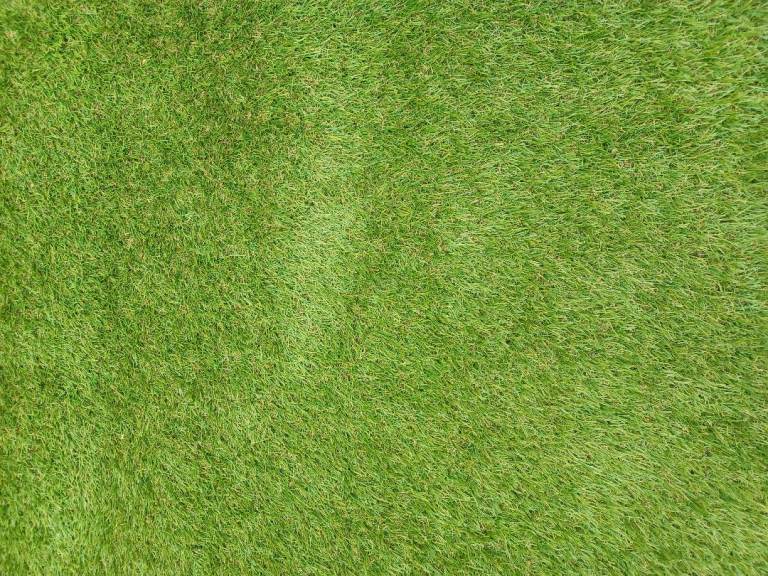 Artifical grass 