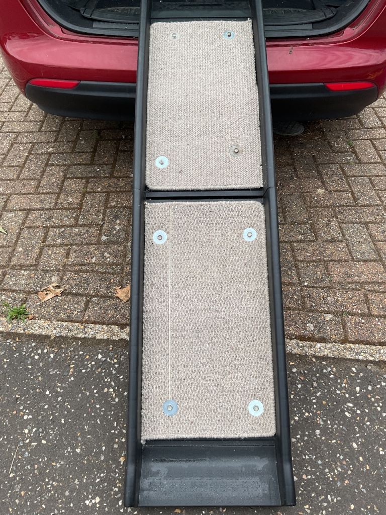 Barely used dog ramp in NR6
