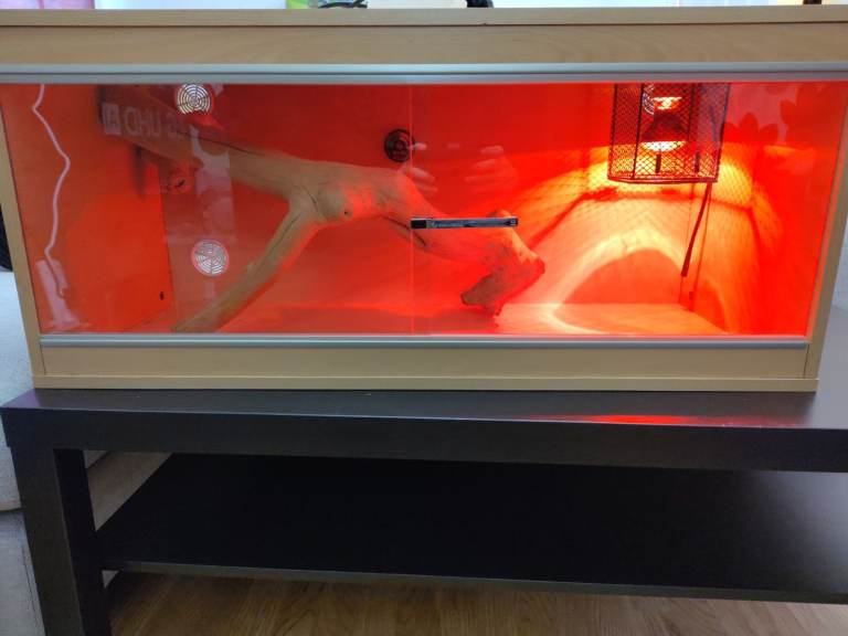 Medium vivarium & accessories