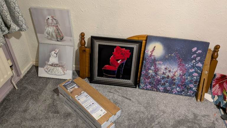 Mixed bundle various pictures and flooring 