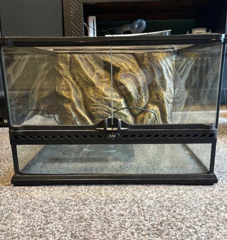 Exo terra terrarium and reptile setup