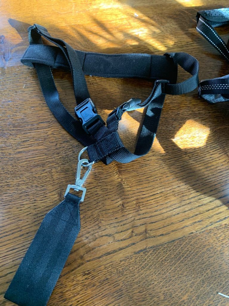 Dog harness/seatbelt 