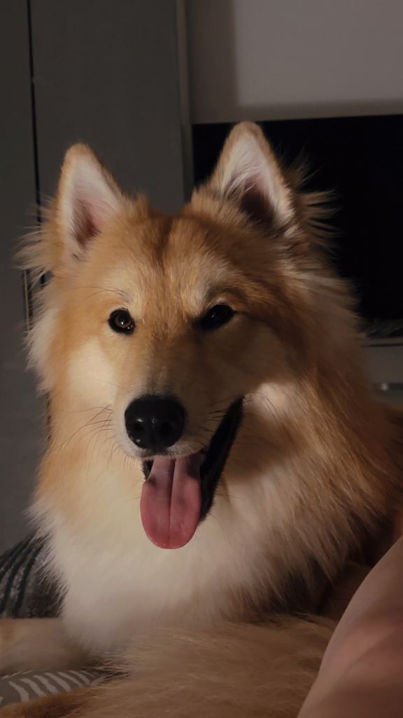 10 month male 