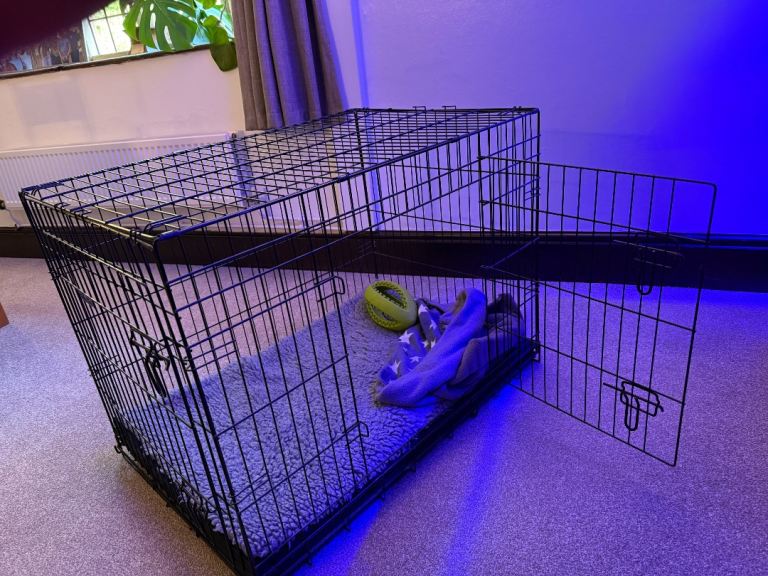 Metal Dog Crate