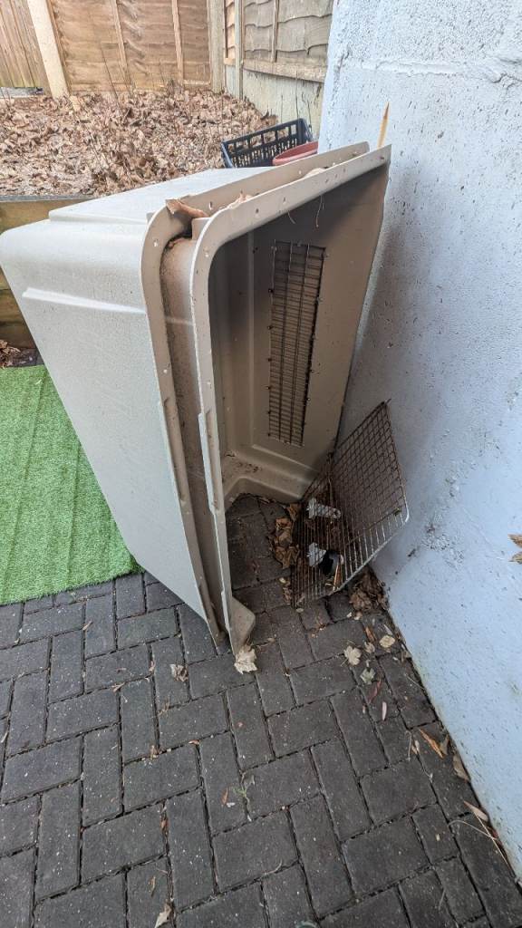 FREE Large dog crate and back seat cover.