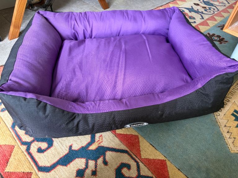 Scruffs expedition (X large) bed in plum