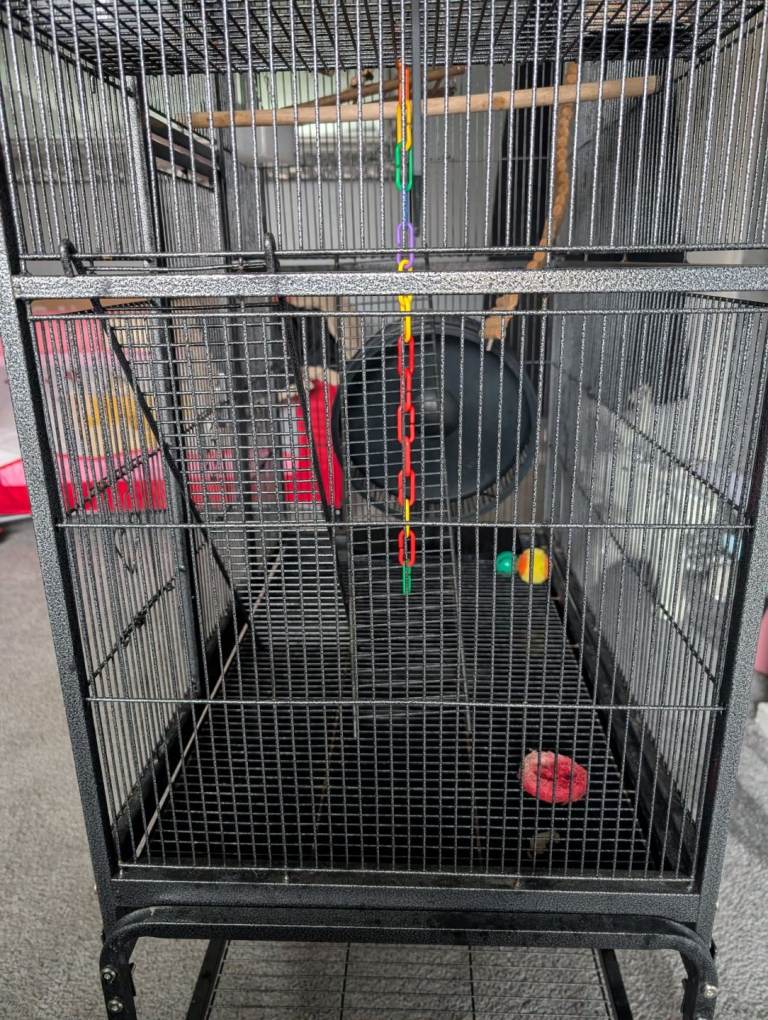 Cage for sale