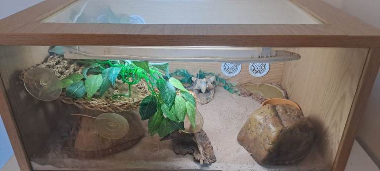 🦎🦎🦎REPTILE ENCLOSURE🦎🦎🦎