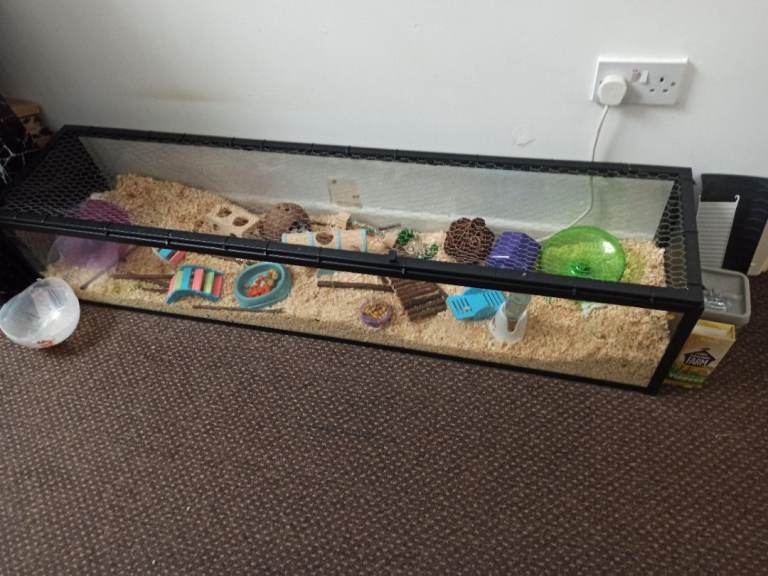 Large hamster cage 