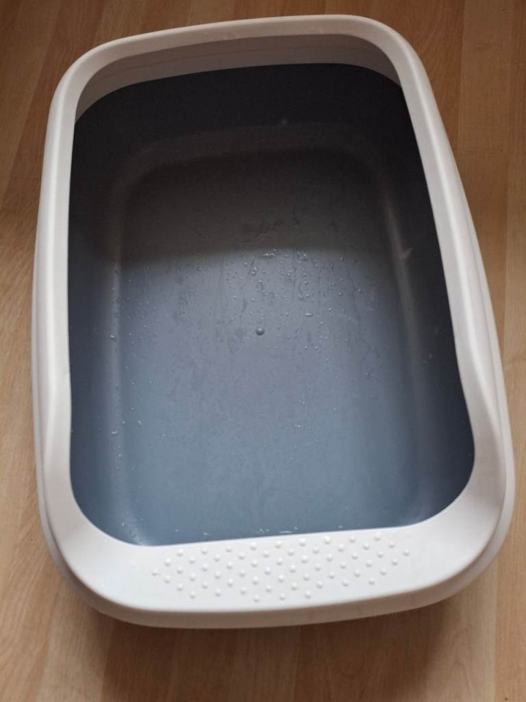 Big cat litter tray 