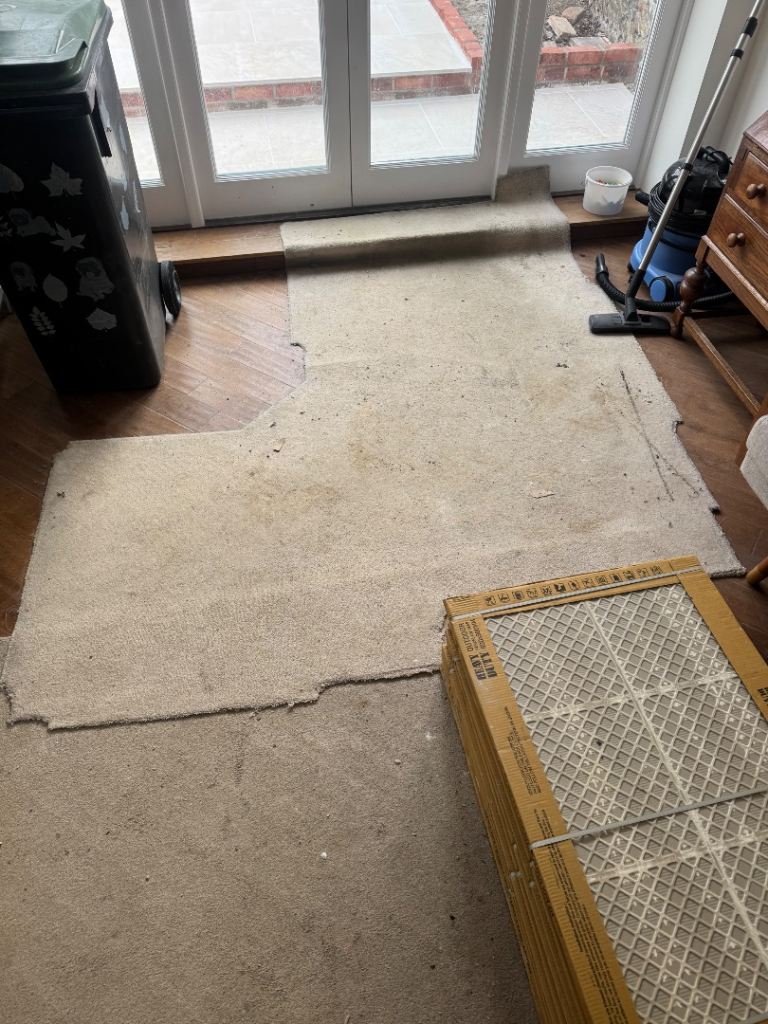 Carpet Offcuts FREE