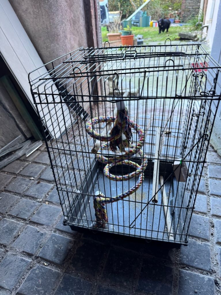 Budgie cage / bird cage 