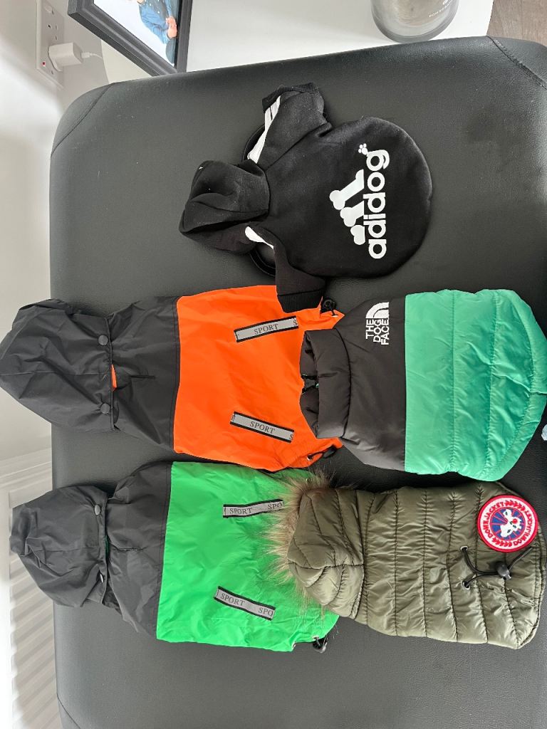 Puppy jackets 