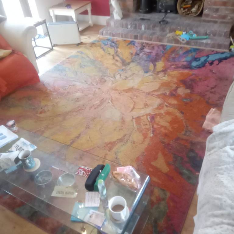 Bargain Huge Superb Quality Colour Rug/Carpet Square