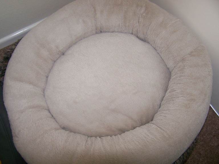 Dog Bed