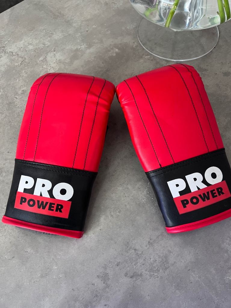PRO POWER Punch Bag and Boxing Gloves Set – Good Condition