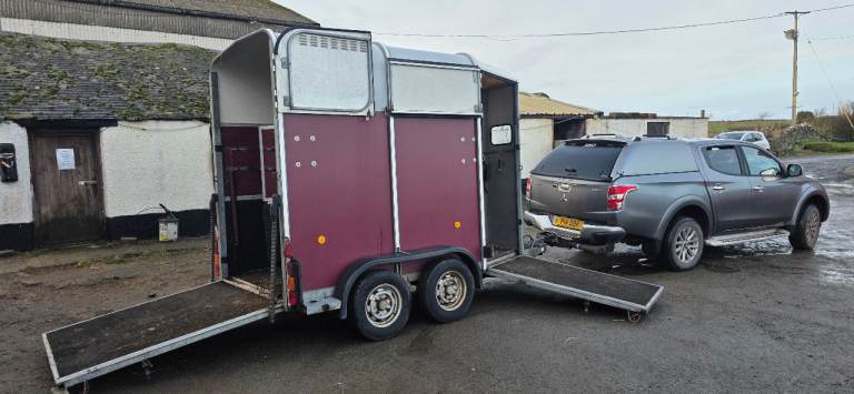 Ifor Williams 505 Horsebox 