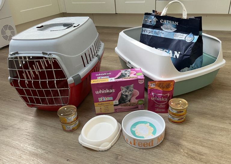 Cat starter bundle