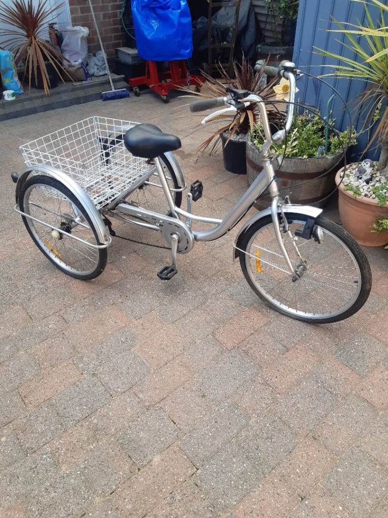 Adult Tricycle with Basket – Silver, Good Condition