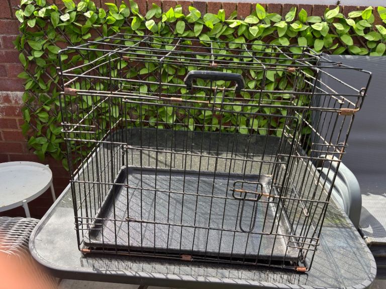 Dog crate 