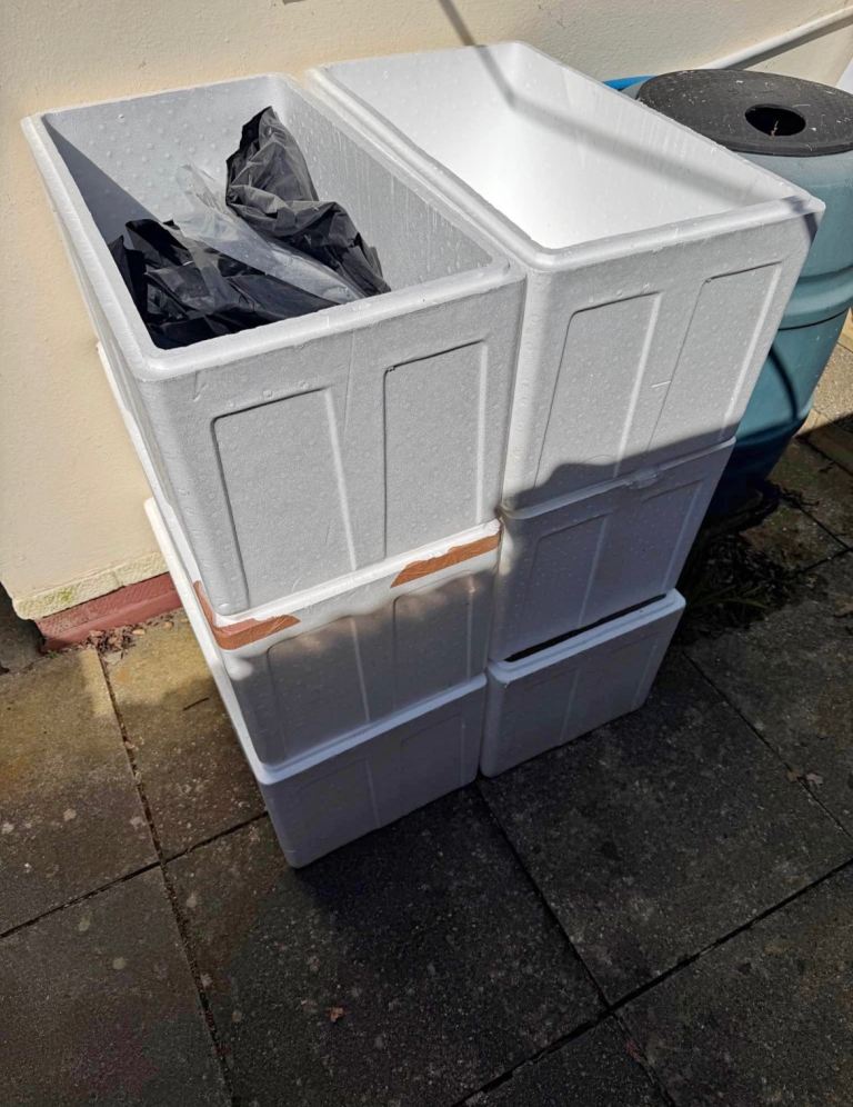 6 Fish Boxes Polystyrene Transportation 